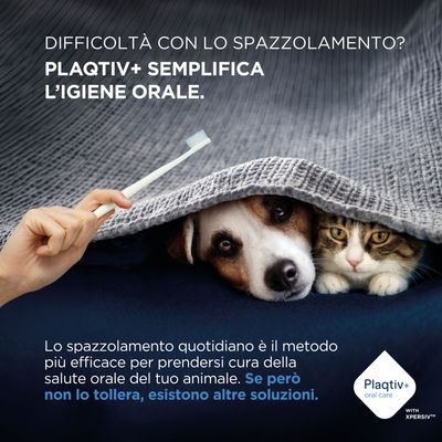 Plaqtiv+ semplifica l'igiene orale. La pulizia quotidiana dei denti è efficace, ma esistono alternative per gli animali che non la tollerano.