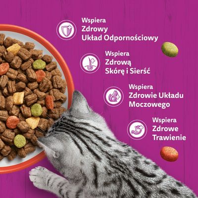 Whiskas 1+ z wołowiną