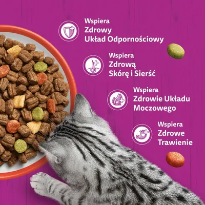 Whiskas 1+ z wołowiną - 14 kg