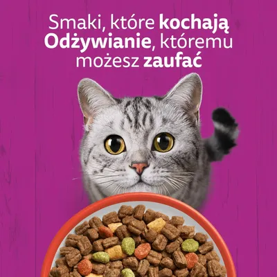 Whiskas 1+ z wołowiną - 14 kg