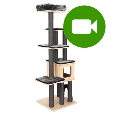 Przycisk odtwarzania wideo. Kliknij tutaj, aby obejrzeć film prezentujący drapak dla kota z kilkoma poziomami i legowiskiem. Przycisk odtwarzania wideo. Kliknij tutaj, aby obejrzeć film prezentujący drapak dla kota z kilkoma poziomami i legowiskiem.