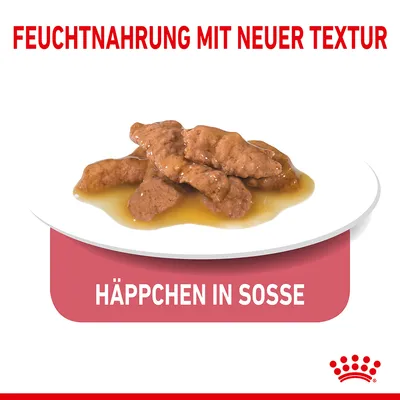 Feuchtnahrung mit neuer Textur. Häppchen in Sosse auf weissem Teller, Royal Canin Logo unten rechts.