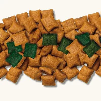 Crocchette a forma di cuscinetto, marroni e verdi, disposte in primo piano. Nessun marchio o testo visibile.