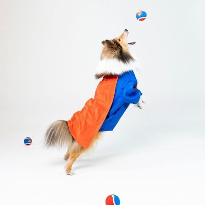 Vier blauwe en rode tennisballen met Superman-logo, geschikt voor speeldoeleinden.