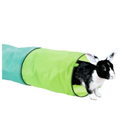 Green and blue play tunnel for small animals, with a black and white rabbit looking out of the tunnel.