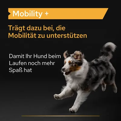 Mobility +. Trägt dazu bei, die Mobilität zu unterstützen. Damit Ihr Hund beim Laufen noch mehr Spaß hat. Teksti saksaksi, kuva juoksevasta koirasta mustalla taustalla.