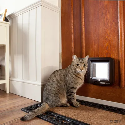 SureFlap katteluke med chip