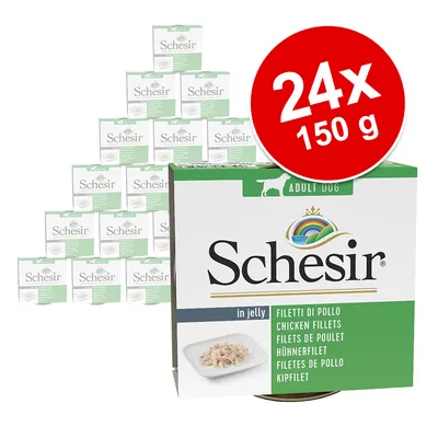 Schesir Adult Dog φιλέτο κοτόπουλο σε ζελέ, συσκευασία 24 x 150 g. Η εικόνα δείχνει τη συσκευασία και το περιεχόμενο.