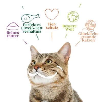 Text en allemand : Reines Futter, Perfektes Eiweiß-Fett verhältnis, Tierschutz, Bessere Welt, Glückliche gesunde Katzen, avec illustrations et un chat tigré au premier plan.