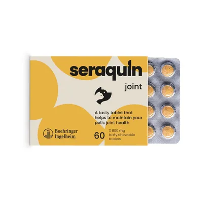 Seraquin Joint Tablets for Cats & Dogs 800mg