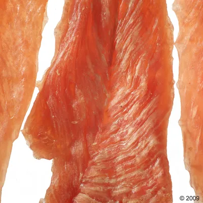 Close-up of dried chicken fillet strips, orange and fibrous texture visible.