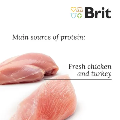 Brit Care Grain-Free Kitten Healthy Growth & Development - 7 kg