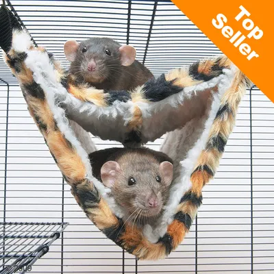 Hamac en tissu à motif tigré pour rongeurs, deux rats dans une cage. Badge orange avec texte anglais « Top Seller » en haut à droite.