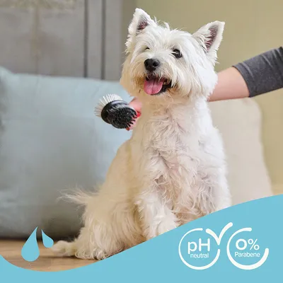 Chien blanc brossé, texte visible : pH neutral, 0 % Parabene. Brosse à poils en plastique visible dans la main d’une personne.