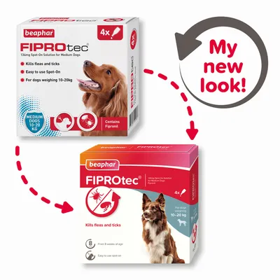 Packaging update for FIPROtec spot-on solution, kills fleas and ticks, easy to use, for dogs weighing 10–20kg, from 8 weeks of age. Contains Fipronil. My new look!