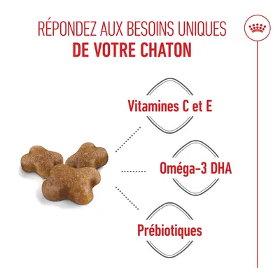 Image de croquettes avec indications : vitamines C et E, oméga-3 DHA, prébiotiques. Texte : Répondez aux besoins uniques de votre chaton.