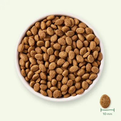 Miska s granulemi, detail jedné granule vedle misky s měřítkem 10 mm pro znázornění velikosti.