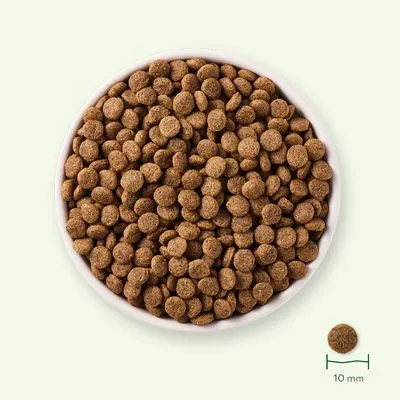 Yarrah Bio Kattenvoer Sterilised - 700 g