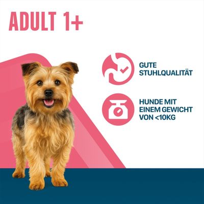 Perfect Fit Adult Hund (<10 kg)