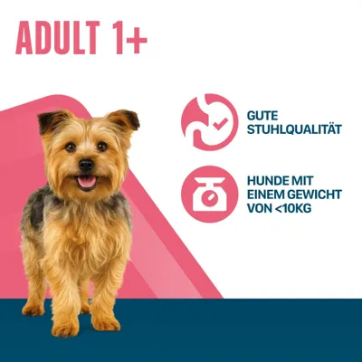 ADULT 1+, gute Stuhlqualität, Hunde mit einem Gewicht von unter 10 kg. ADULT 1+, gute Stuhlqualität, Hunde mit einem Gewicht von unter 10 kg.