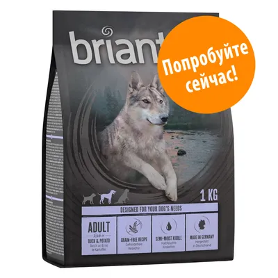 Сухой корм для собак briantos, 1 кг. Видны надписи: Adult, Duck & Potato, Grain-Free Recipe, Semi-Moist Kibble, Made in Germany. Оранжевый круг с текстом: Попробуйте сейчас!