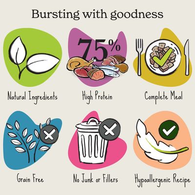 Product features: natural ingredients, 75% high protein, complete meal, grain free, no junk or fillers, hypoallergenic recipe. Heading reads 'Bursting with goodness'.