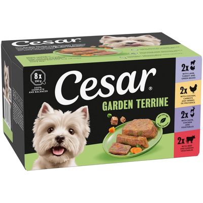 A woman strokes a small white dog eating from a bowl in a kitchen with light tiles and white cupboards.