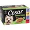 Cesar Garden Terrine Trays in Loaf Mixed Pack 24 x 150g
