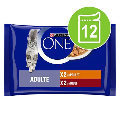 Purina ONE Adulte, x2 au poulet, x2 au bœuf. Illustration d’un chat et icône verte avec le chiffre 12 sur un sachet bleu.
