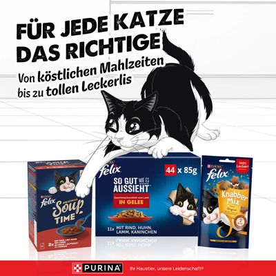 Für jede Katze das Richtige: Von köstlichen Mahlzeiten bis zu tollen Leckerlis. Felix Soup Time, So gut wie es aussieht in Gelee, Knabber Mix. Purina.