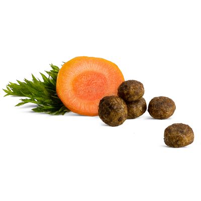 Croquettes rondes marron à côté d’une tranche de carotte avec fanes vertes, montrant les ingrédients visibles du produit.