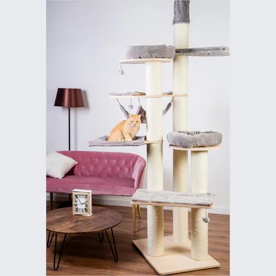 Gran árbol rascador con varios niveles, postes de sisal y superficies de descanso grises. Un gato naranja está sentado en una plataforma. Muebles al fondo: sofá rosa, mesa de madera, lámpara de pie.