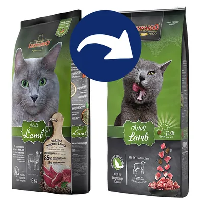 Leonardo Cat Food Adult Cordero, 15 kg, con cordero extra fresco, apto para gatos de pelo largo. Calidad super premium.