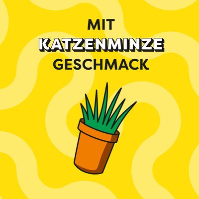 Catisfactions Kattensnack 60 g - met Catnip