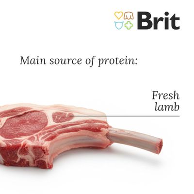 Brit Care Mini Grain Free Puppy Lamb. Hipoalergiczna formuła dla szczeniąt małych ras i ich matek. Smak: jagnięcina. Bez zbóż, dla wrażliwego trawienia.