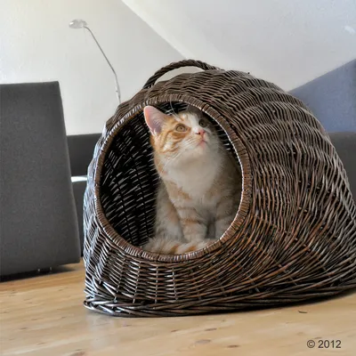 Cueva para gatos de ratán trenzado con un gato naranja y blanco dentro. Abertura redonda, adecuada como refugio para gatos.