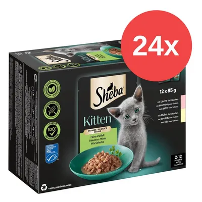 Sheba Kitten Feine Vielfalt in Sauce, 24x 85g. Mit Lachs und Huhn für Kätzchen, geeignet für 2-12 Monate. Recyclingfähiges Papier, MSC-zertifiziert, 100% ausgewogene Rezeptur.