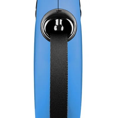Nahaufnahme einer blauen Hundeleine mit schwarzem Band und Kunststoffgehäuse.