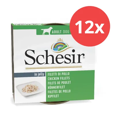 Schesir Adult Dog, Filetti di Pollo in Jelly, 12x Packung. Hühnerfilet für Hunde, mehrsprachige Beschreibung auf grünem Hintergrund.