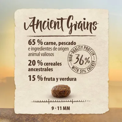 Ancient Grains: 65 % carne, pescado e ingredientes de origen animal valiosos, 20 % cereales ancestrales, 15 % fruta y verdura. Proteína 36 % (51 % pollo). Tamaño croqueta 9–11 mm.
