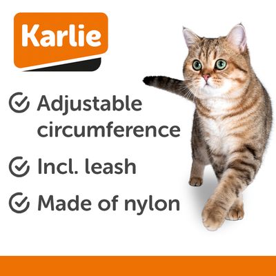 Karlie postroj s vodítkom pre mačiatka