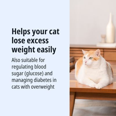 Aiuta il tuo gatto a perdere facilmente il sovrappeso. Adatto anche per regolare il livello di zucchero nel sangue (glucosio) e per la gestione del diabete nei gatti in sovrappeso.