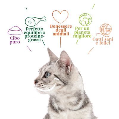 Yarrah Bio-Organic Fillets in salsa con pollo e manzo, 85g. Certificazioni: EU-Bio CZ-BIO-003, Beter Leven 3 stelle. Alimento completo per gatti.