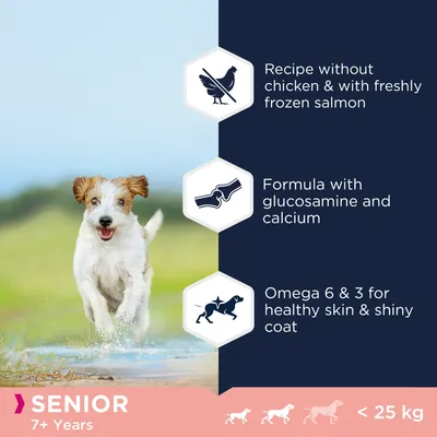 Eukanuba Senior Small & Medium Breed Grain Free merikala - 12 kg