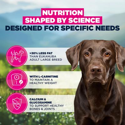 Eukanuba Special Care Weight Control Adult Large