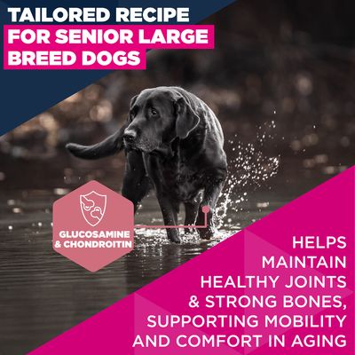 Eukanuba Premium Nutrition Senior Large & Giant Breed kana - säästöpakkaus: 2 x 15 kg