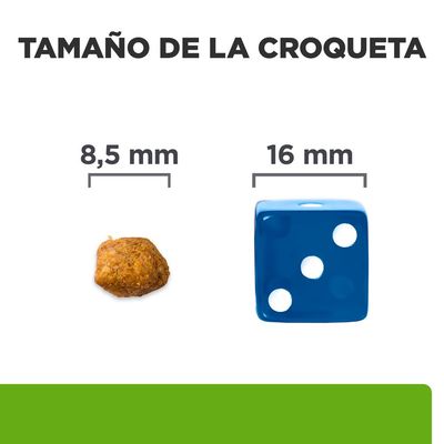 Tamaño de la croqueta: imagen comparativa con una croqueta de 8,5 mm y un dado azul de 16 mm. Texto visible: 'TAMAÑO DE LA CROQUETA', '8,5 mm', '16 mm'.