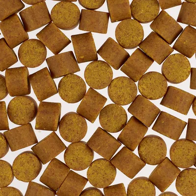 Skin & Coat Supplements Chews - Concept for Life - 270 g