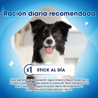 PURINA Dentalife snacks dentales para perros grandes (25-40 kg) - 18 barritas