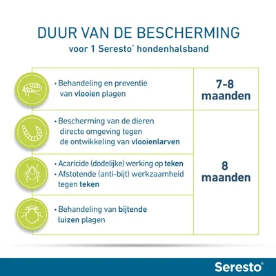 Duur van de bescherming voor 1 Seresto hondenhalsband: vlooienplagen 7–8 maanden, vlooienlarven, teken en bijtende luizen tot 8 maanden. Seresto merknaam zichtbaar.